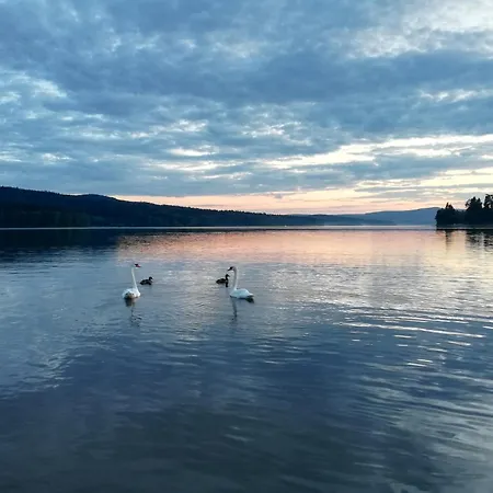 Waterside Heaven * Frymburk