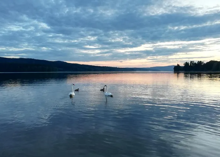 Waterside Heaven * Frymburk